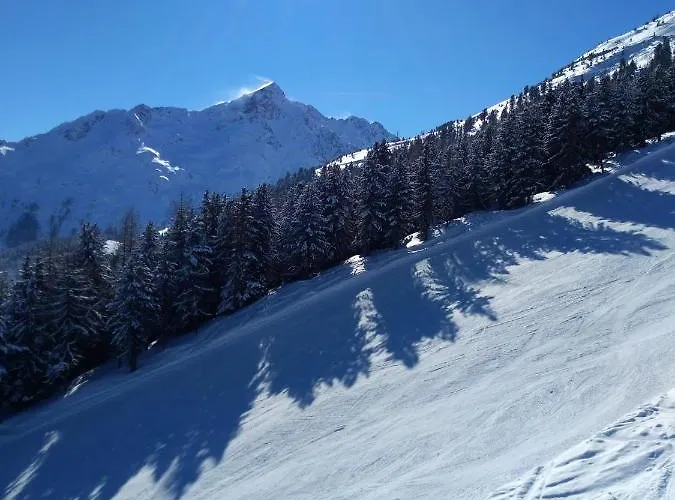 Διαμέρισμα Conny *